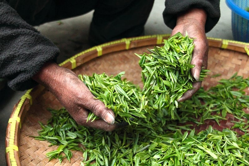 Shared Harvesting